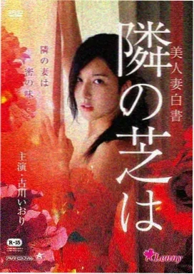 追风筝的人